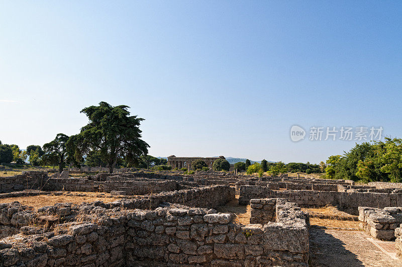 罗马神庙- Paestum